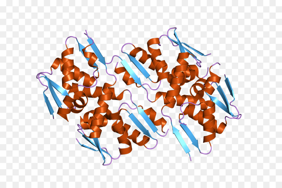 Estructura Proteica，Molécula PNG