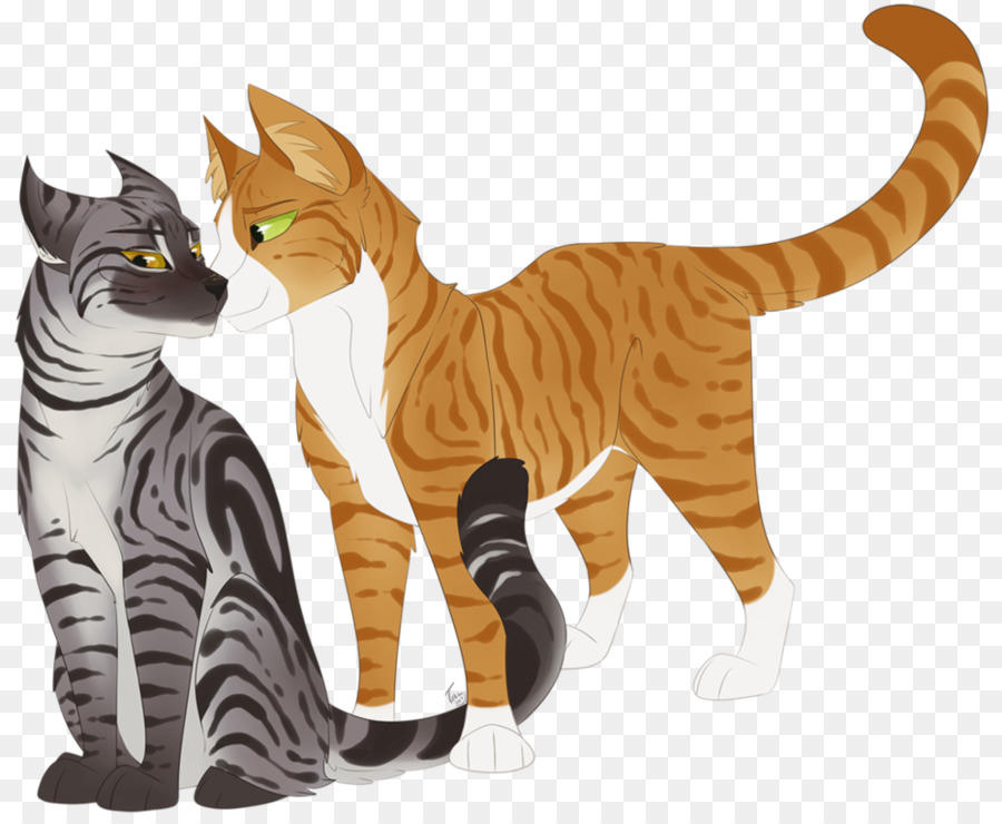 Dos Gatos，Felino PNG