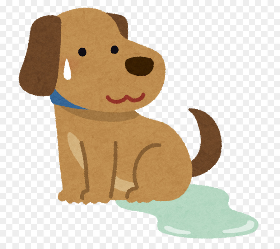 Perro，Mascota PNG