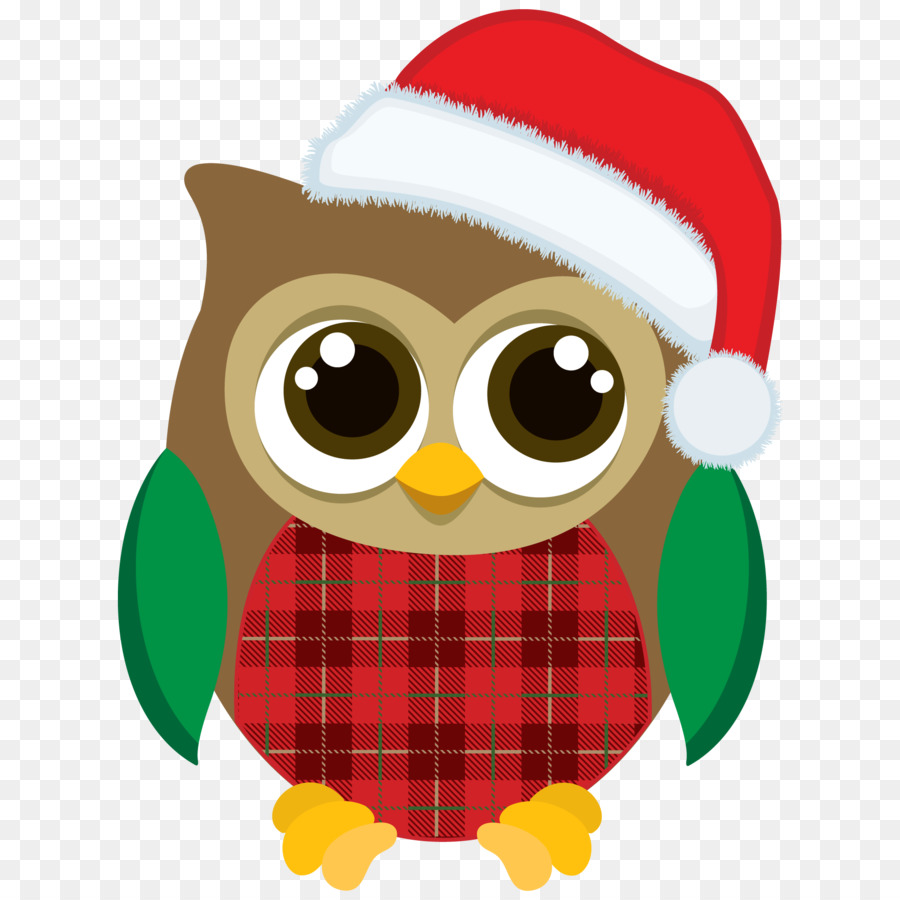 Búho Con Gorro De Papá Noel，Búho PNG