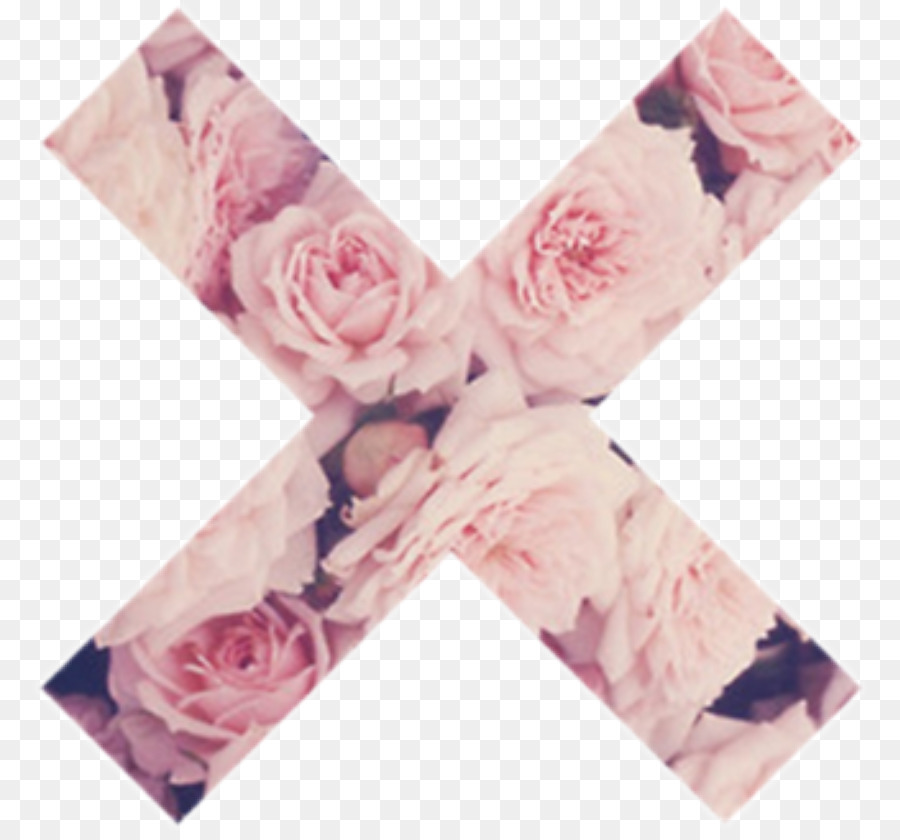 Flores X，Flores PNG