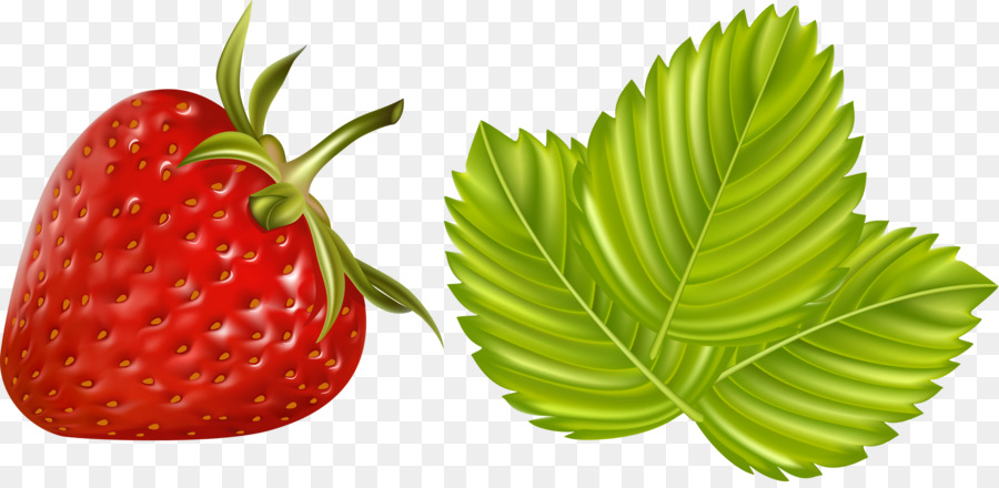 Fresas，Rojo PNG