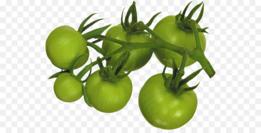 Tomate，Tomates Verdes Fritos PNG