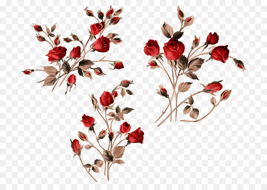 Rosas Rojas，Ramo PNG