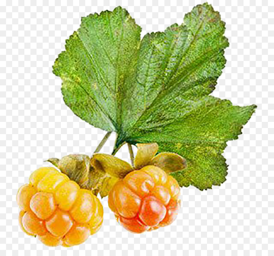 Varenye，Cloudberry PNG