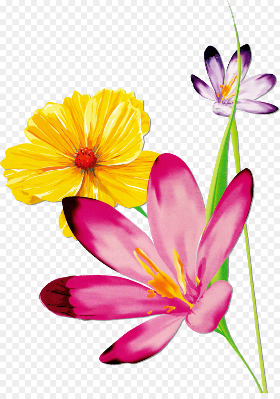 Acuarela De Flores，Pintura A La Acuarela PNG