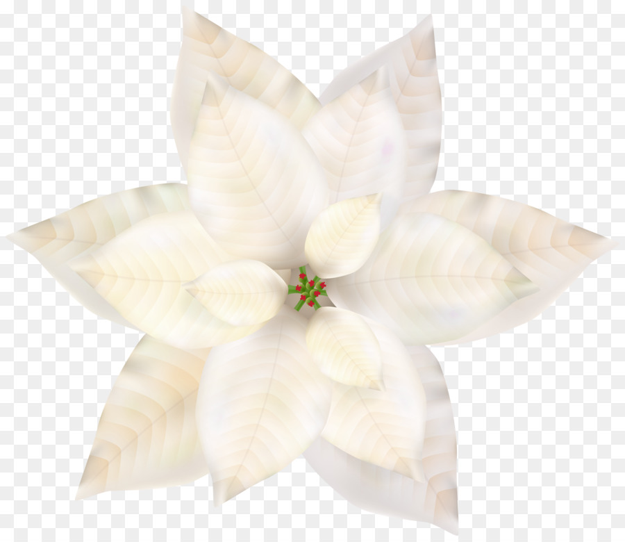 Flor，Pétalos PNG