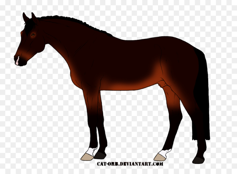 Mustang，Melena PNG