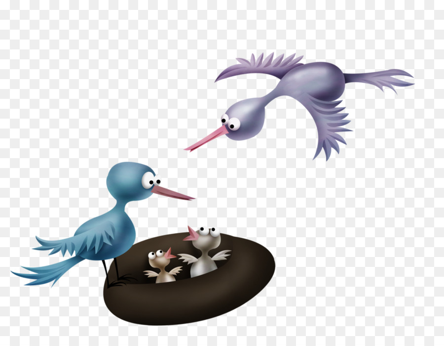 Pato，Aves PNG