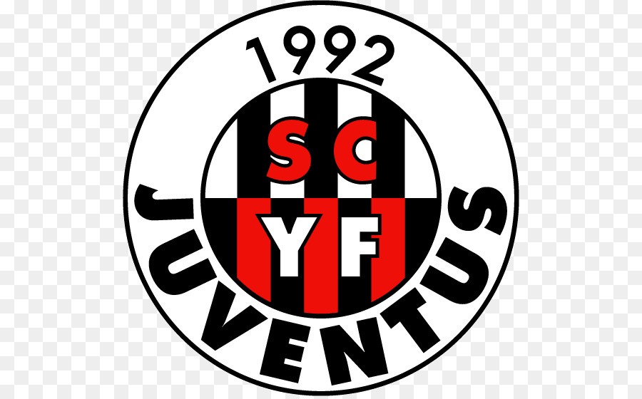 Sc Young Fellows Juventus，Fc Rapperswiljona PNG