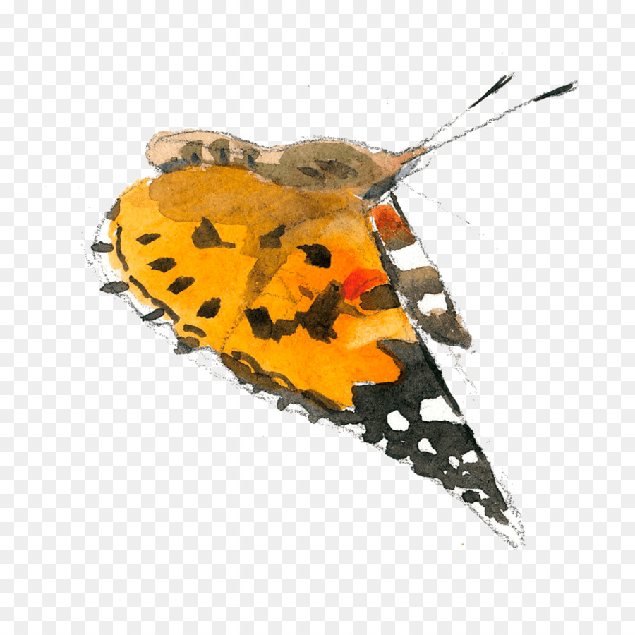 Mariposa，Vanesa PNG