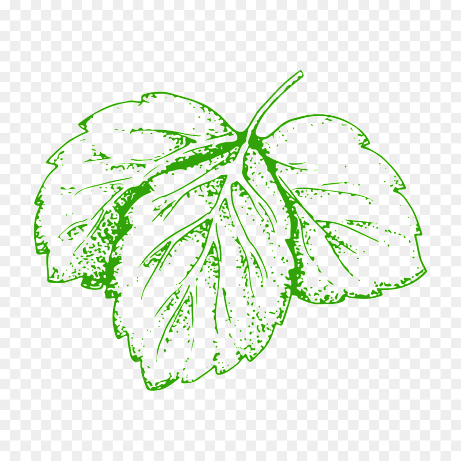 Vegetal，Hoja PNG