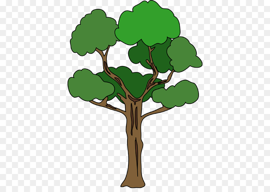 Árbol Bonsái，Árbol PNG