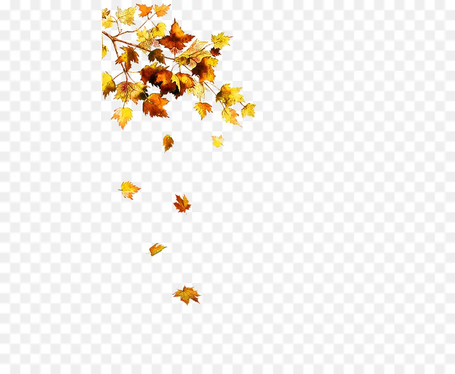 Hojas De Otoño，Caer PNG