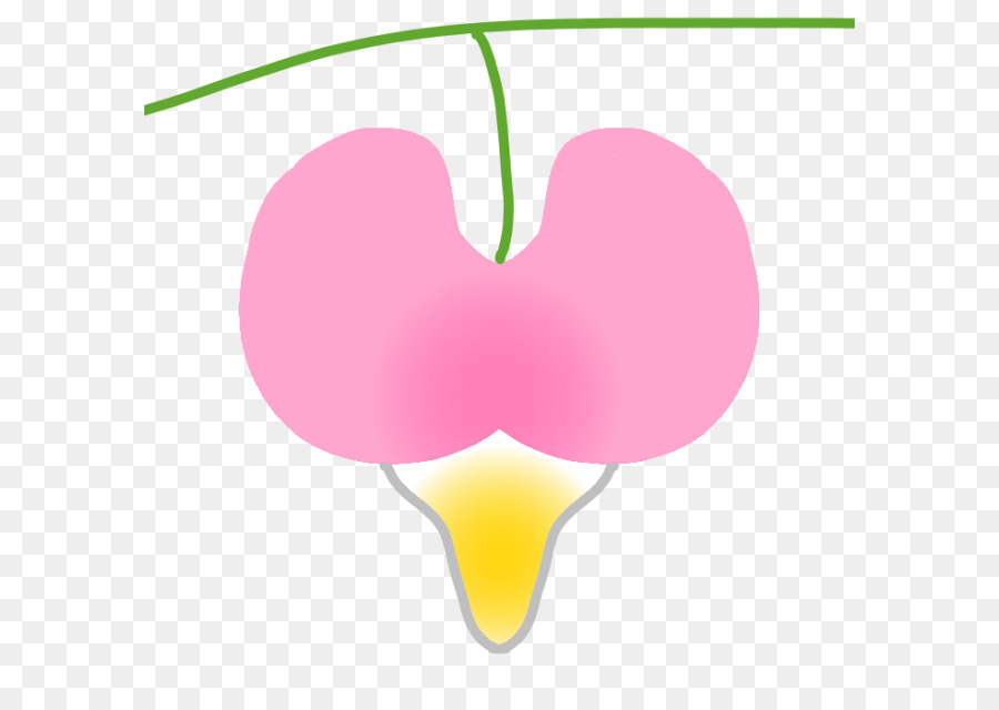 Corazón，Rosa M PNG