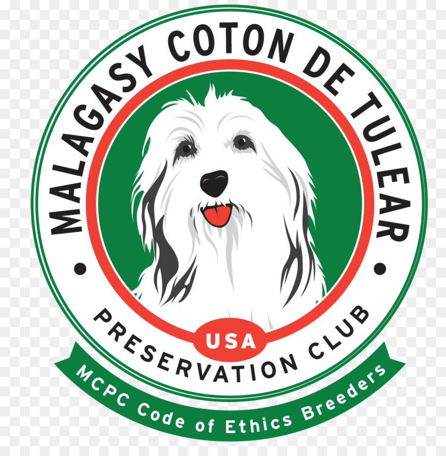 El Coton De Tulear，Raza De Perro PNG