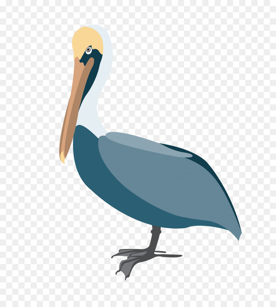 Pelican，Dibujo PNG