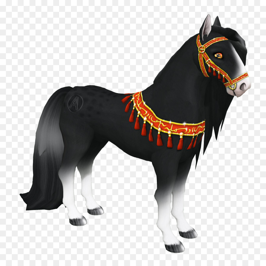 Caballo árabe，Espectáculo De Caballos PNG