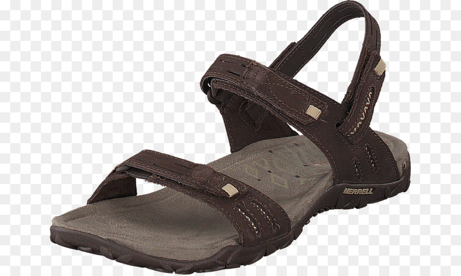 Zapatilla，Zapato PNG