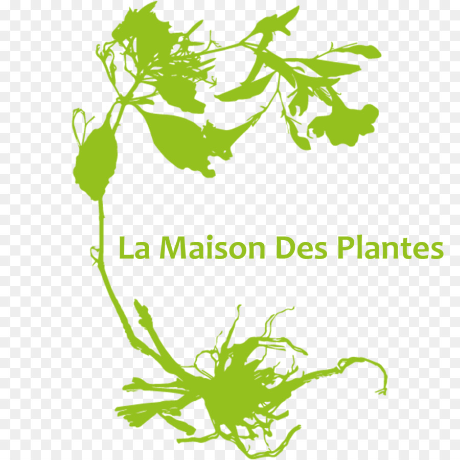 Las Plantas，Casa PNG