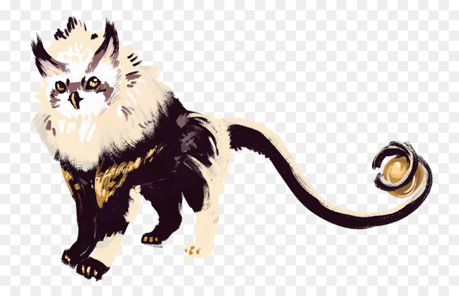 Gato，Mapache PNG