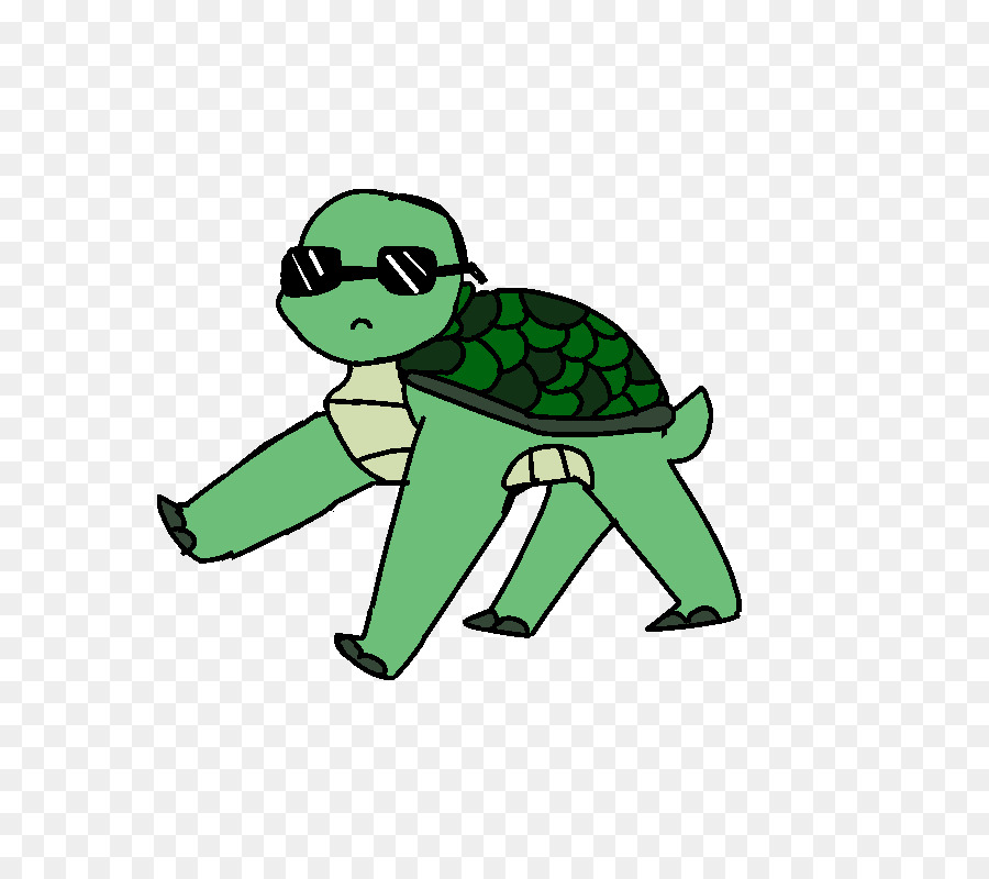 Tortuga De Mar，Tortuga PNG