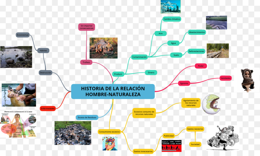 Naturaleza，Mapa Conceptual PNG