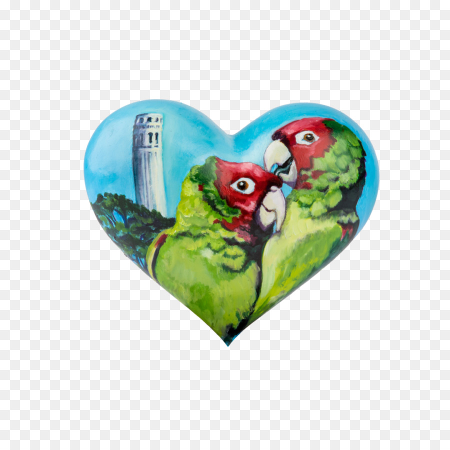 Guacamayo，Corazones En San Francisco PNG