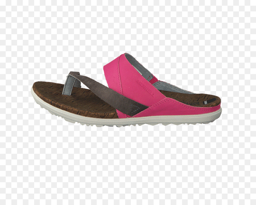 Zapatilla，Sandalia PNG