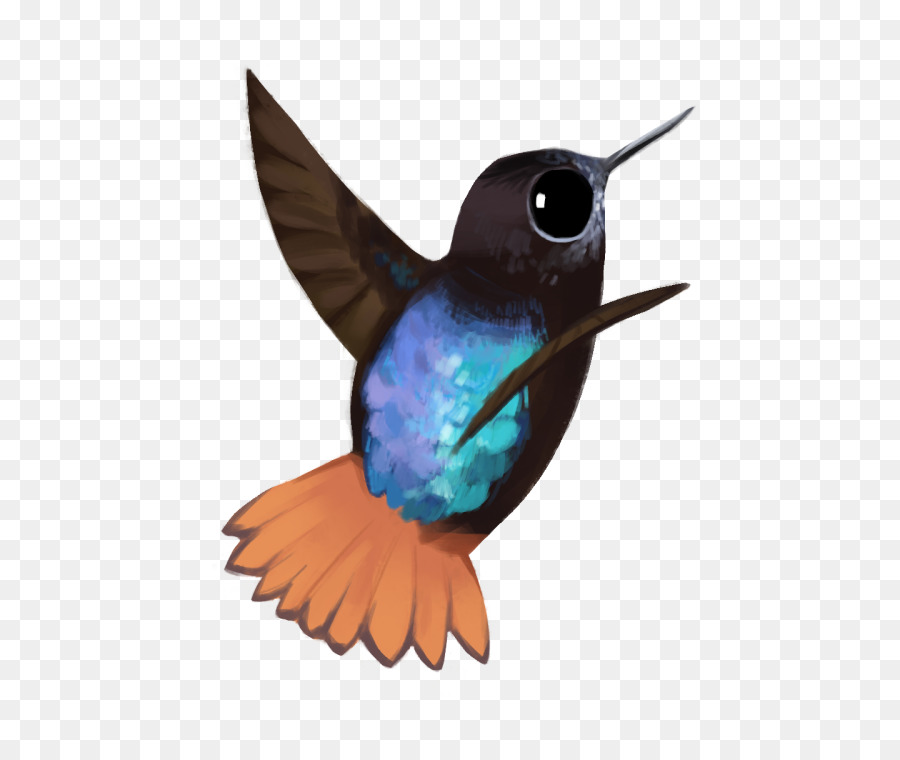 Colibrí，La Fauna PNG