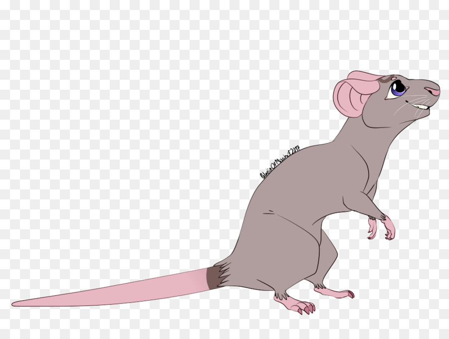 Hurón，Mascota PNG