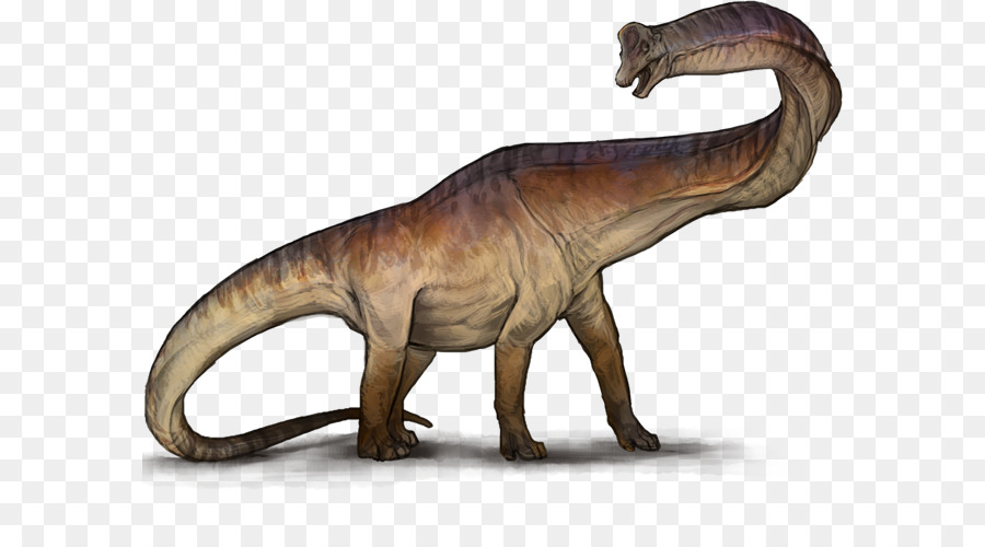 Tyrannosaurus，Giraffatitan PNG