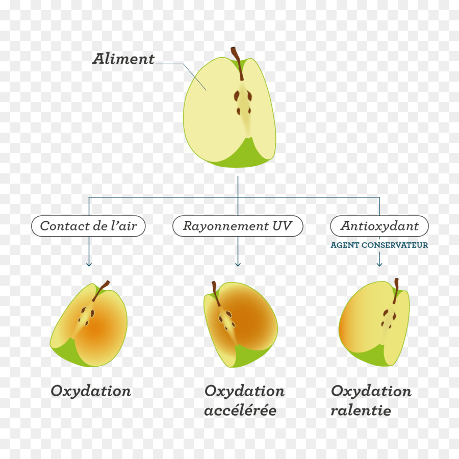 La Fruta，La Comida PNG