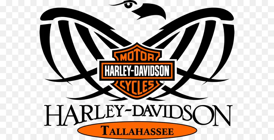 Harley Davidson De Panama City Beach，Motocicleta PNG