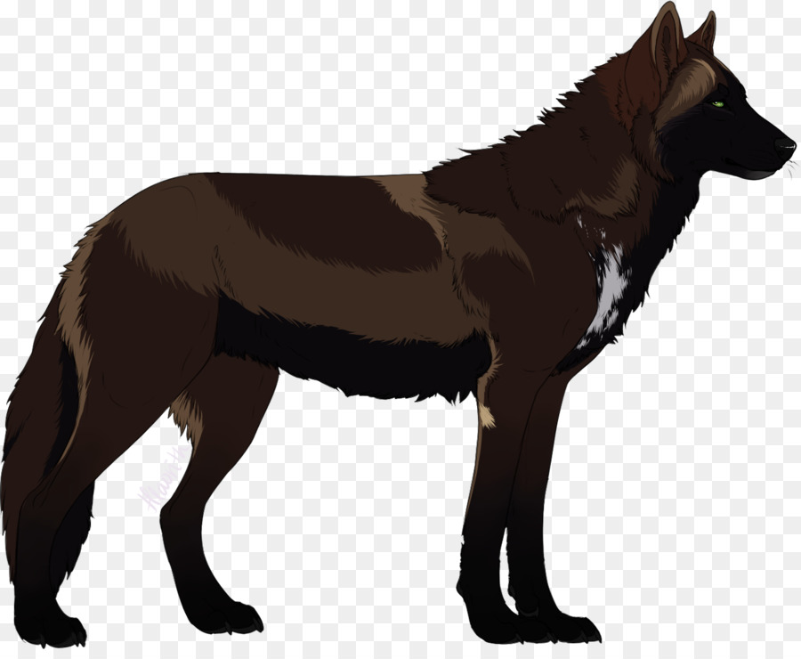 Raza De Perro，Perro Lobo Checoslovaco PNG