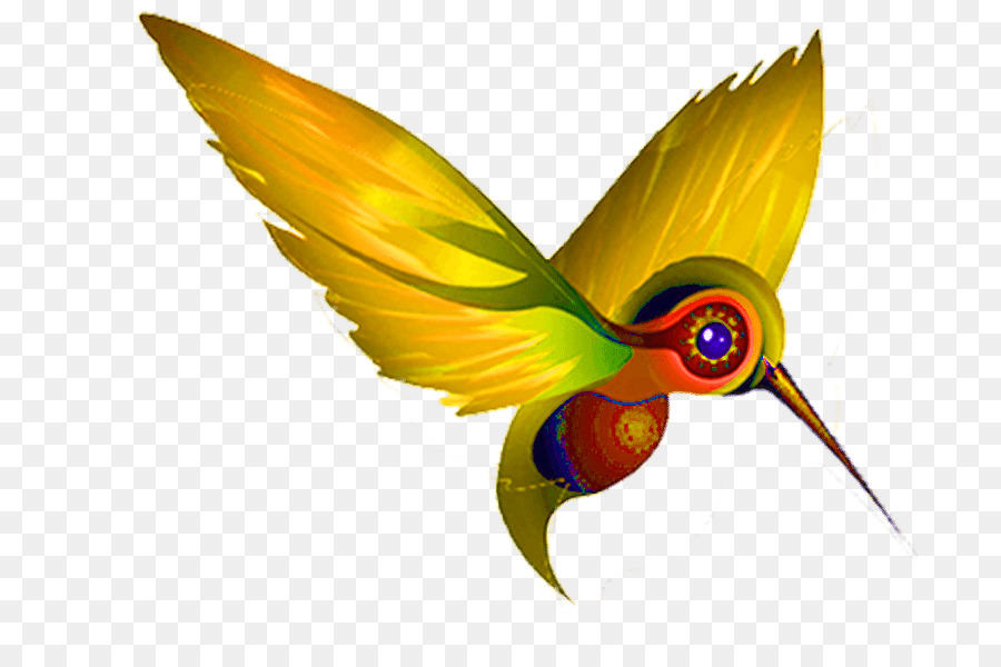 Colibrí，Pico PNG