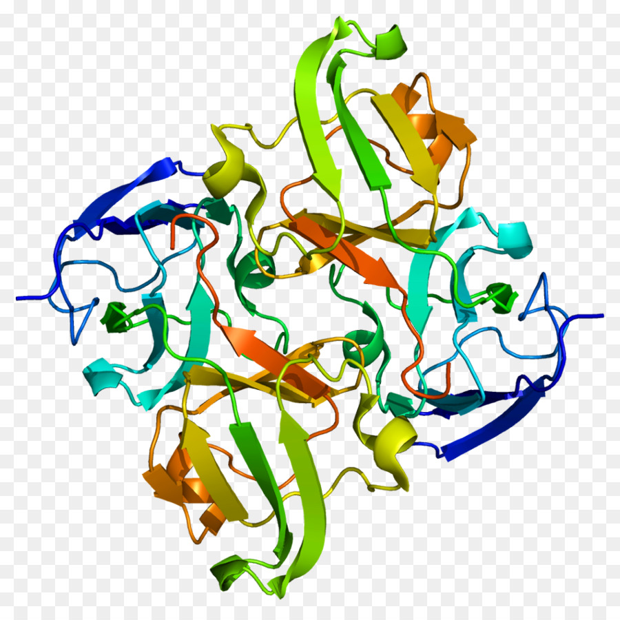 Crybb1，Photopsin PNG