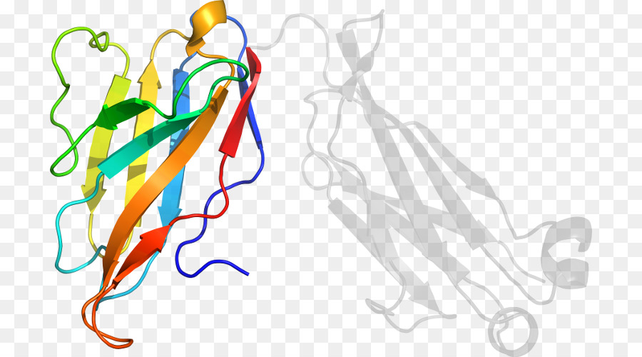 Diseño Gráfico，Arte De Línea PNG