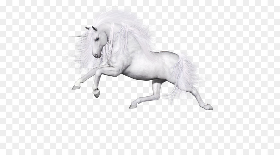 Caballo，Unicornio PNG