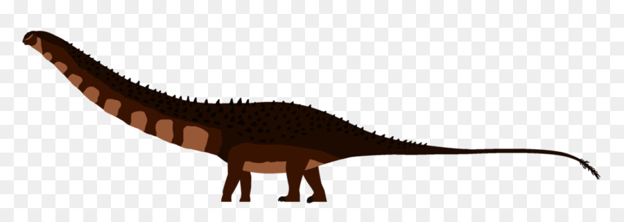 Supersaurus，Dinosaurio PNG