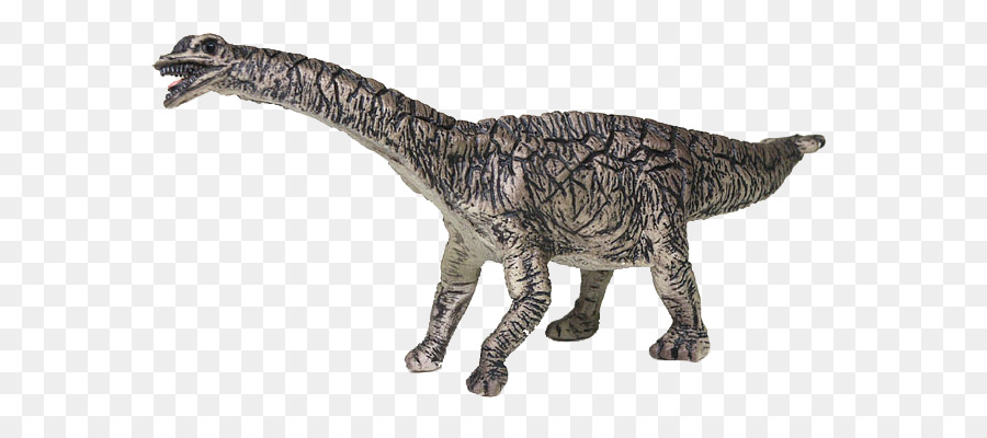 Spinophorosaurus，Dinosaurio PNG