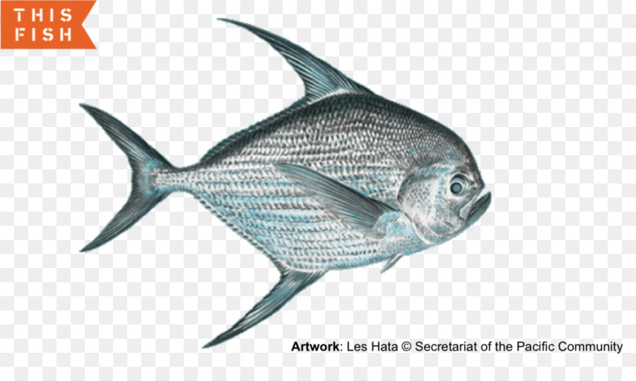 Hawaii De La Pesca Del Pez，Los Peces PNG