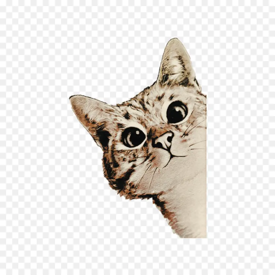 Gato，Pintura PNG