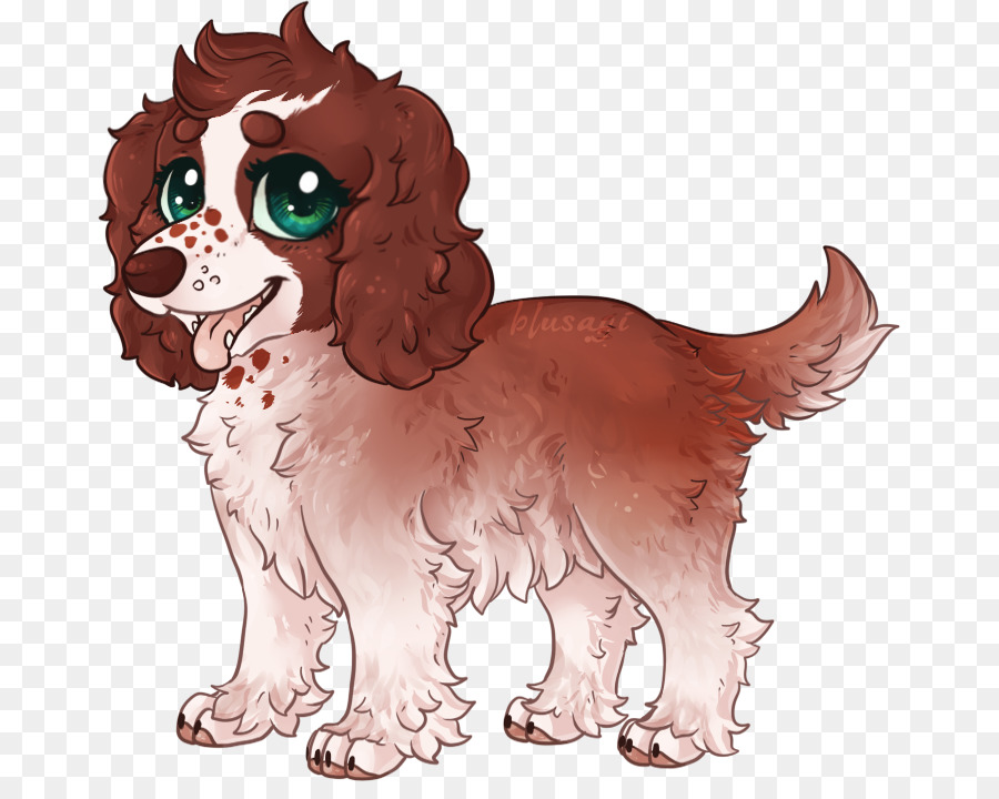 Boykin Spaniel，Cachorro PNG