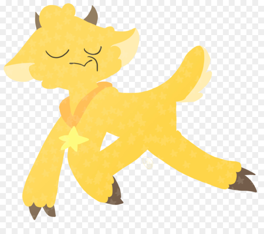 Gato，Perro PNG