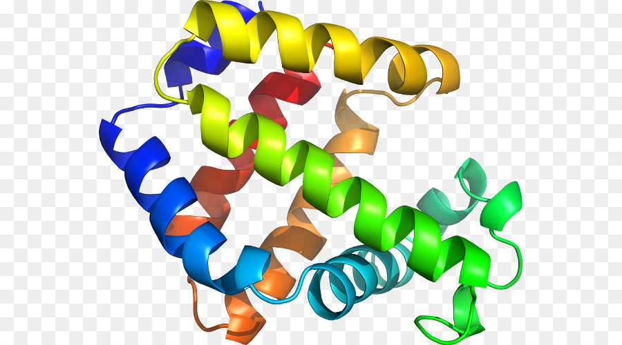 Línea，Inmunohistoquímica PNG