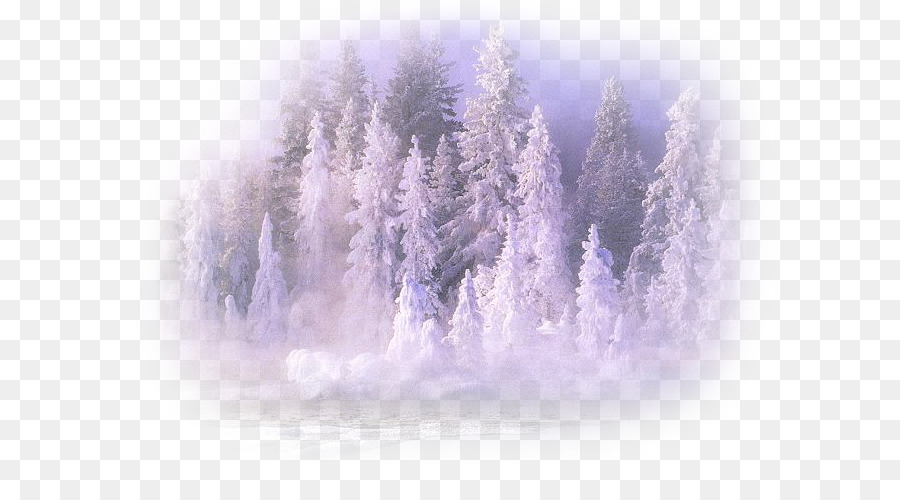 Invierno，Fondo De Escritorio PNG