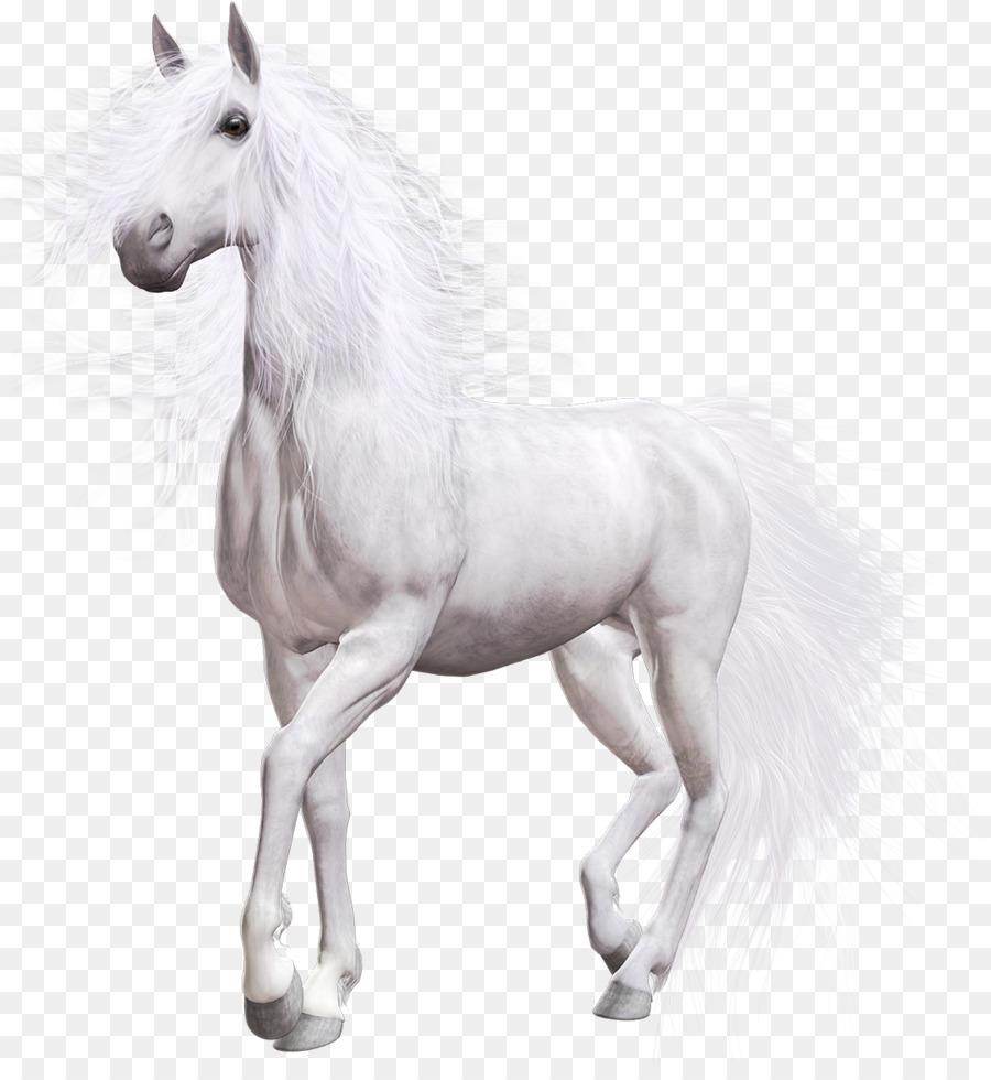 Caballo Americano De La Pintura，Pony PNG