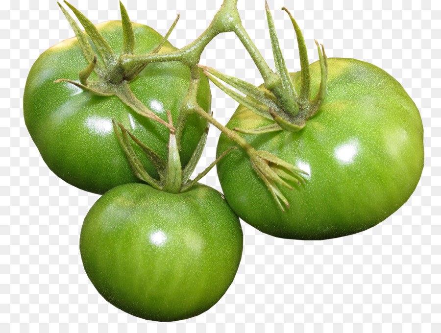 Tomate，Alimentos Orgánicos PNG