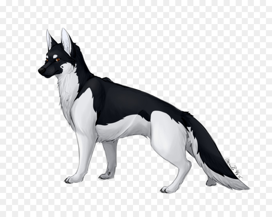 Raza De Perro，Carelio Oso Perro PNG